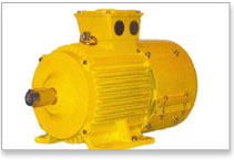 Crane Duty Electrical Motors